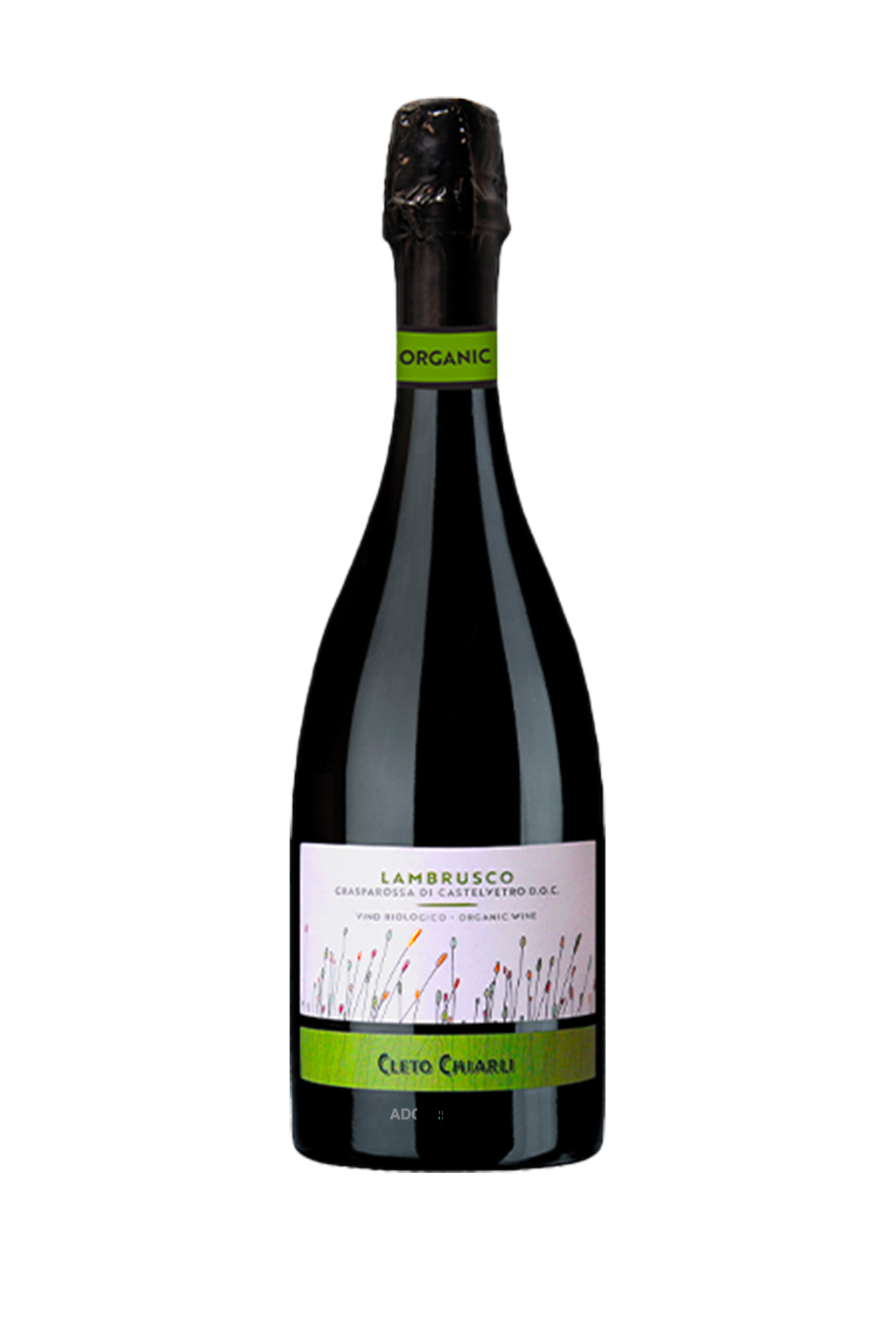 LAMBRUSCO GRASPAROSSA DI CASTELVETRO BIO CANTINA CHIARLI