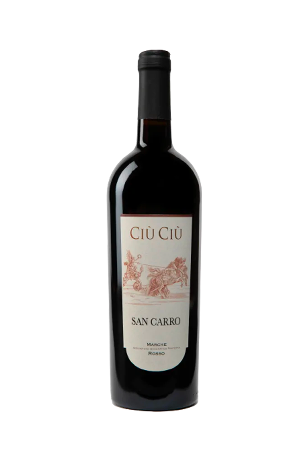 IGP SAN CARRO BIO 2024 CIU CIU