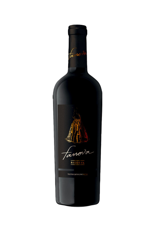 PRIMITIVO DOC FANOVA RISERVA 2020 TERRECARSICHE