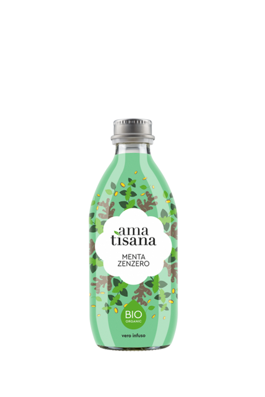 THÉ VERT MENTHE & GINGEMBRE BIO CORTESE