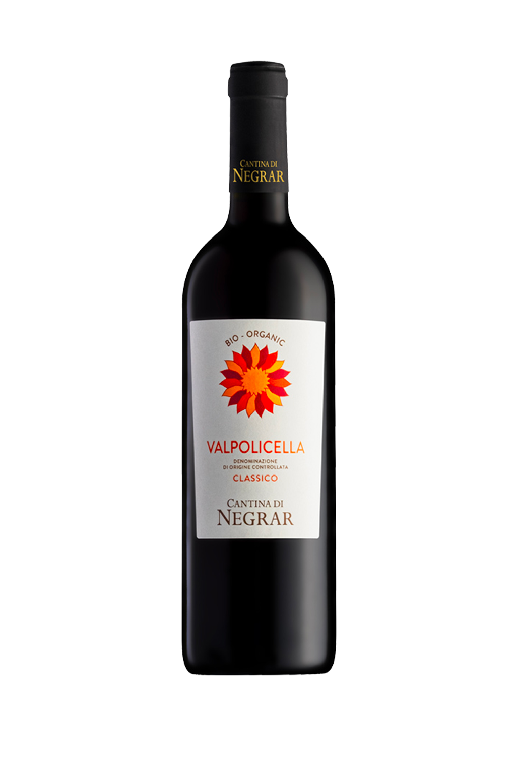 VALPOLICELLA DOC CLASSICO BIO 2024 CANTINA DI NEGRAR